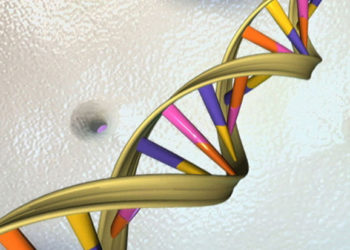 DNA data storage closer to becoming reality