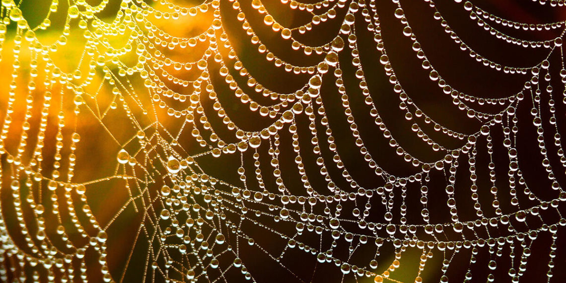 The future of networking: Open source networking is the ‘new norm’