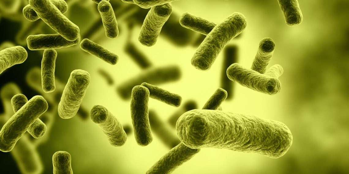 How bacteria could run the Internet of Things