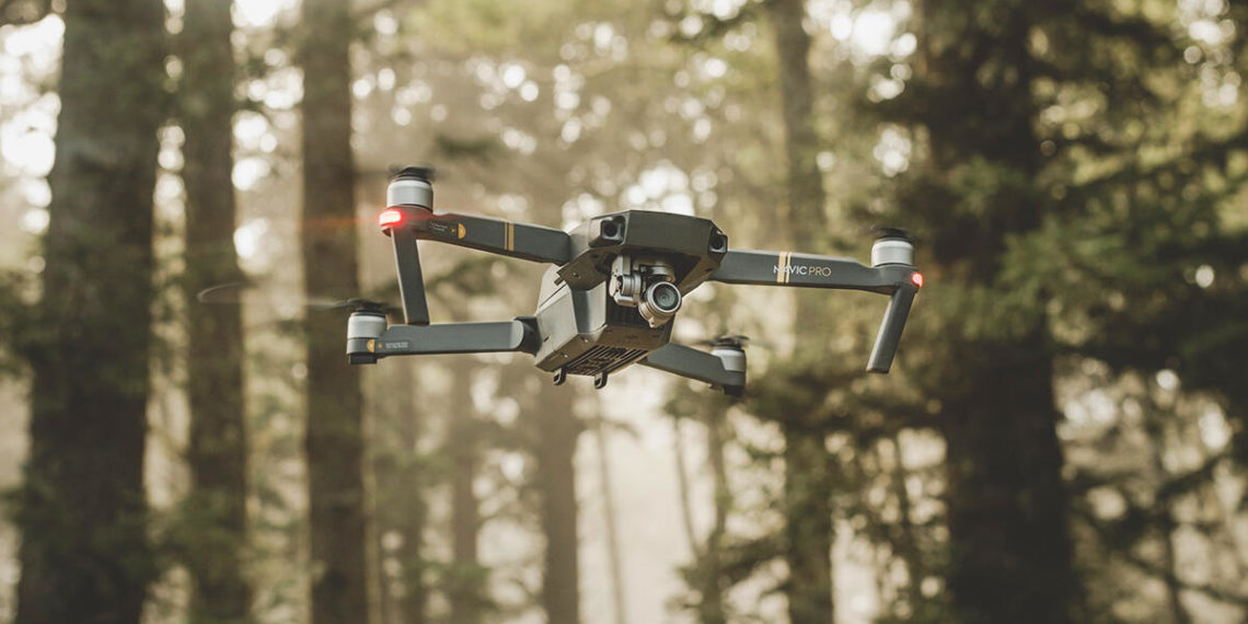 Neural computing should be based on insect brains, not human ones