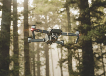 Neural computing should be based on insect brains, not human ones